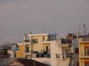 IMG_0143.jpg