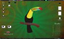 birds.jpg