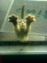 DSC00078.jpg